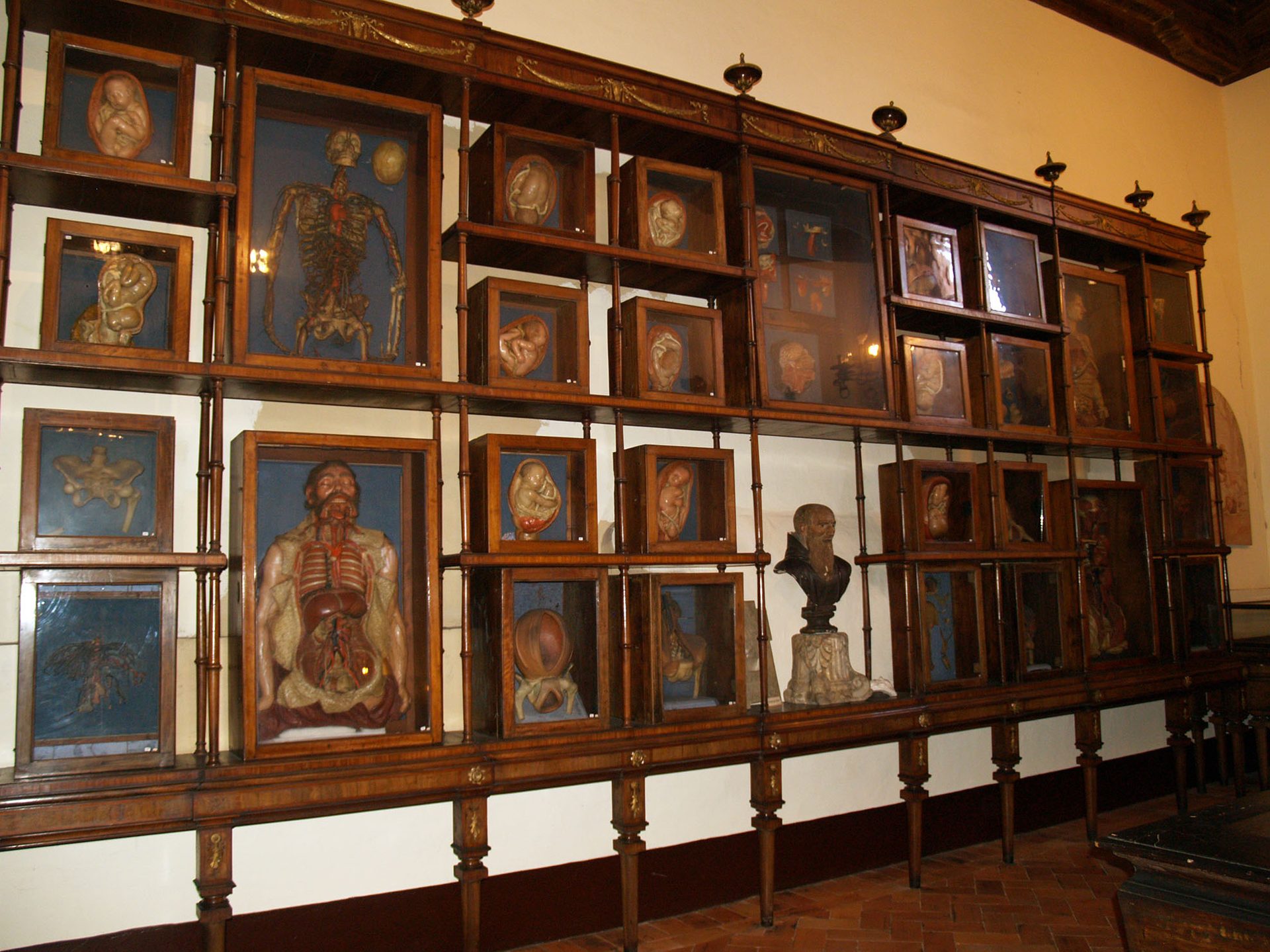 Museo%20Storico%20Nazionale%20dell%27Arte%20Sanitaria%2C%20Roma%20%285%29%281%29.jpg
